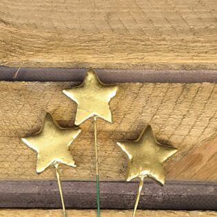 Pick dorado estrella