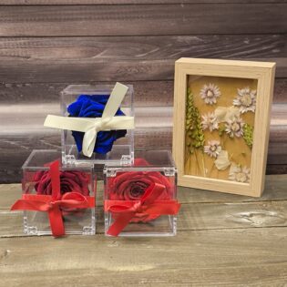 Metacrilato rosa preservada